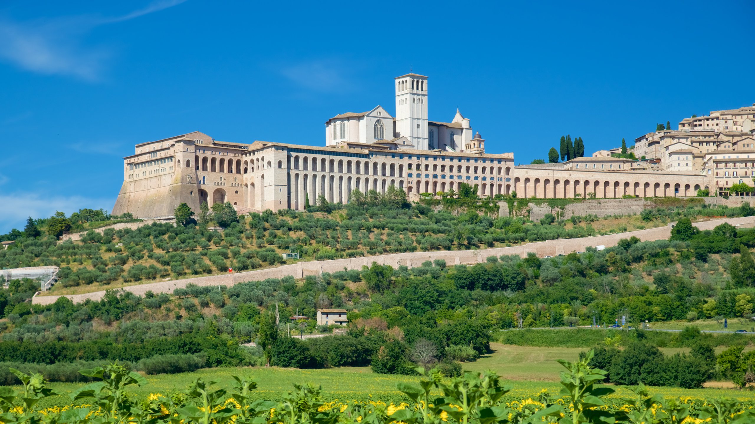 Foto di Assisi e della struttura